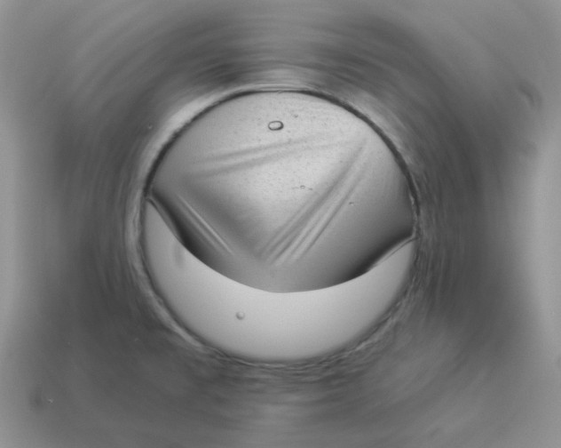 X0000114521477200911091140