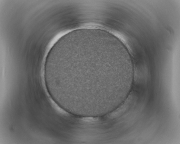 X0000114521478200911091140