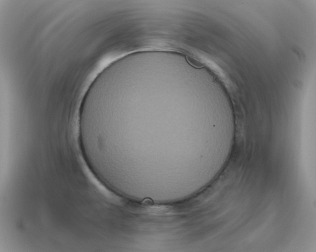 X0000114521479200911091140