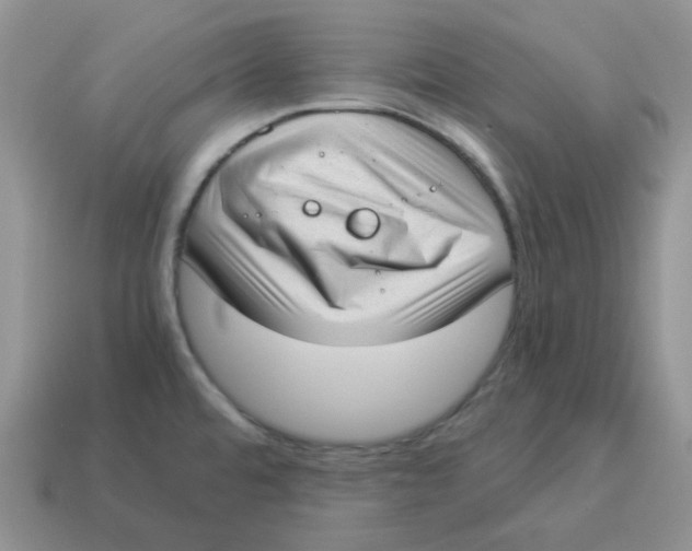 X0000114521480200911091140