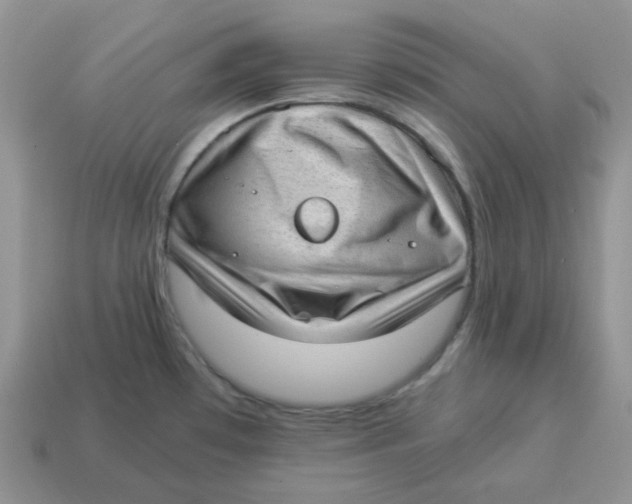 X0000114521481200911091140