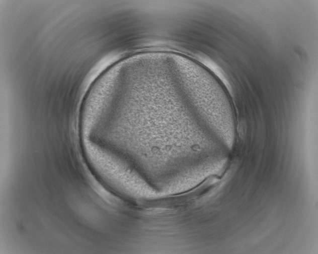 X0000114521482200911091140