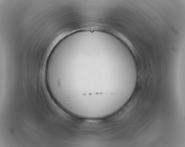 X0000114521483200911091140