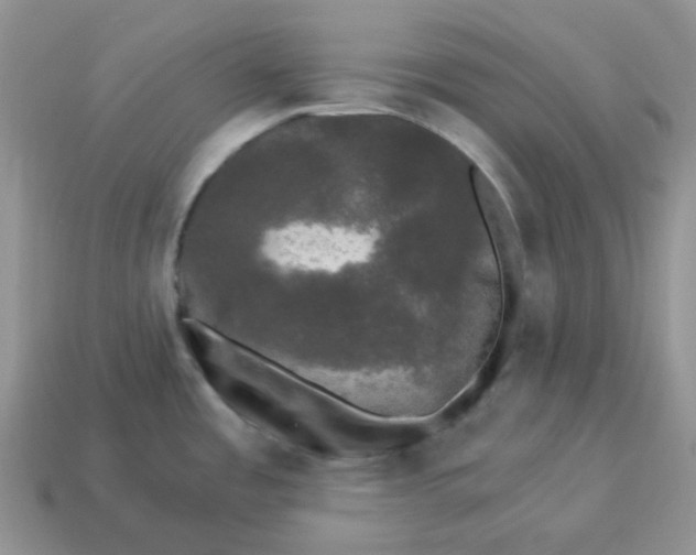 X0000114521485200911091140