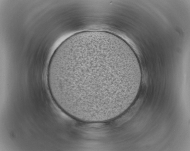 X0000114521486200911091140