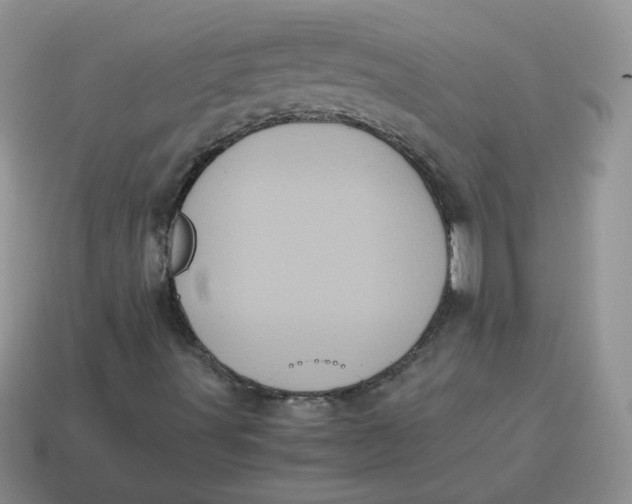 X0000114521491200911091139