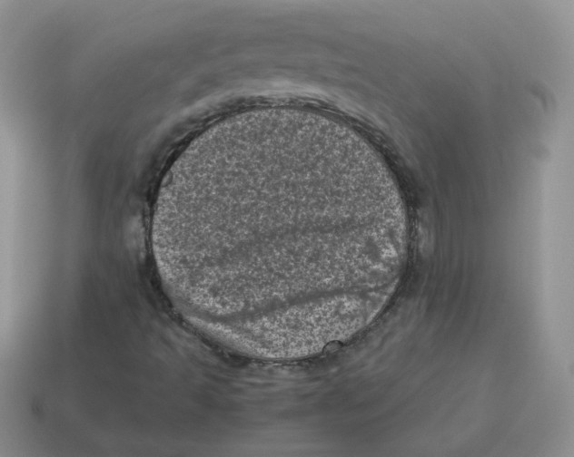 X0000114521493200911091139