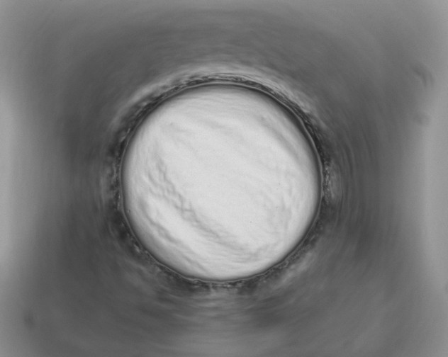 X0000114521494200911091139