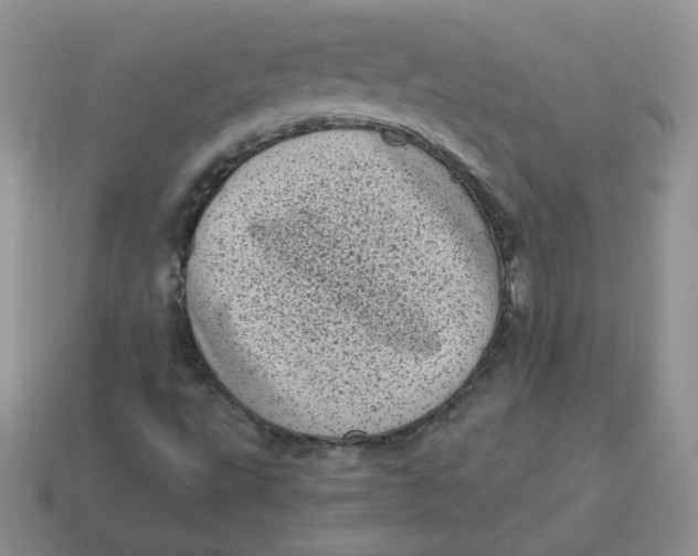 X0000114521495200911091139