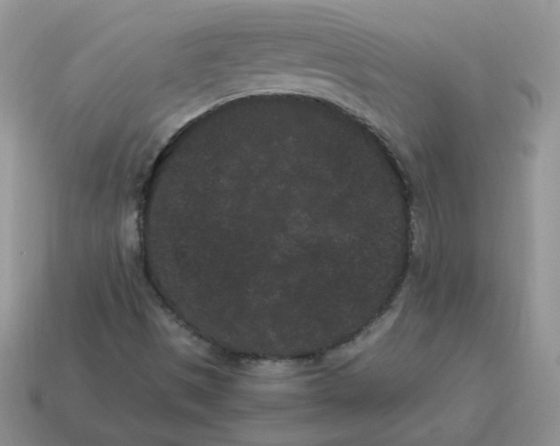 X0000114521497200911091139