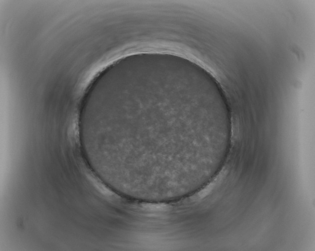 X0000114521498200911091139