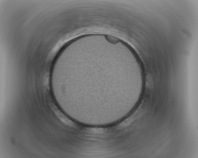 X0000114521499200911091139