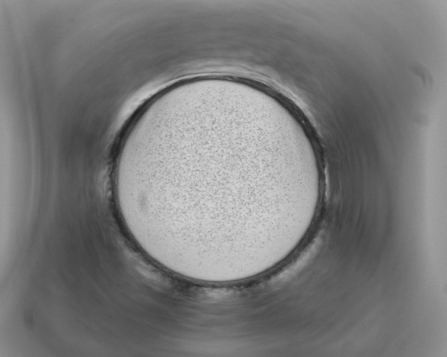 X0000114521501200911091139