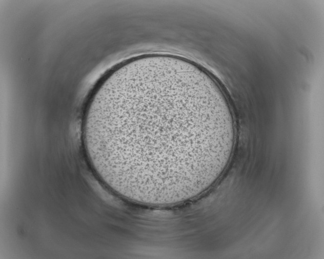 X0000114521503200911091139