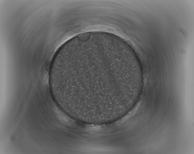 X0000114521505200911091139