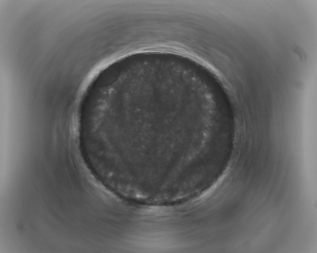 X0000114521506200911091139