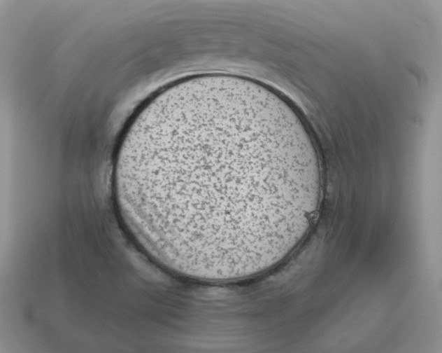 X0000114521507200911091139