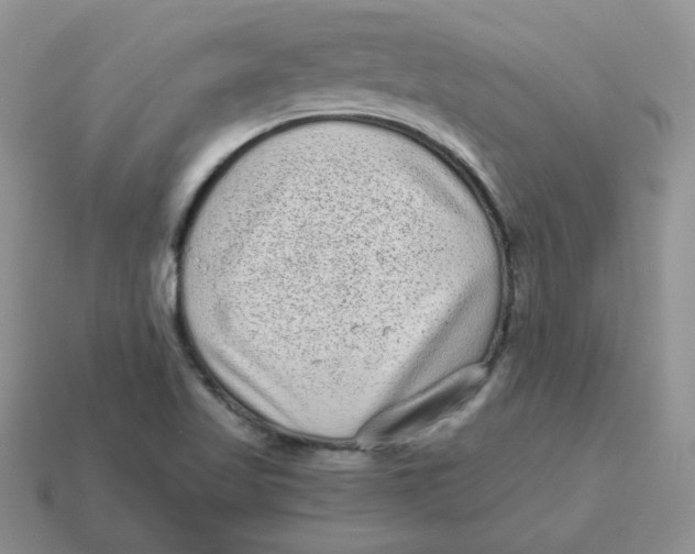 X0000114521509200911091139