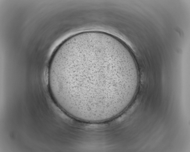 X0000114521510200911091139