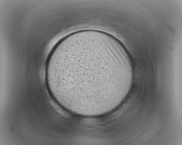 X0000114521511200911091139