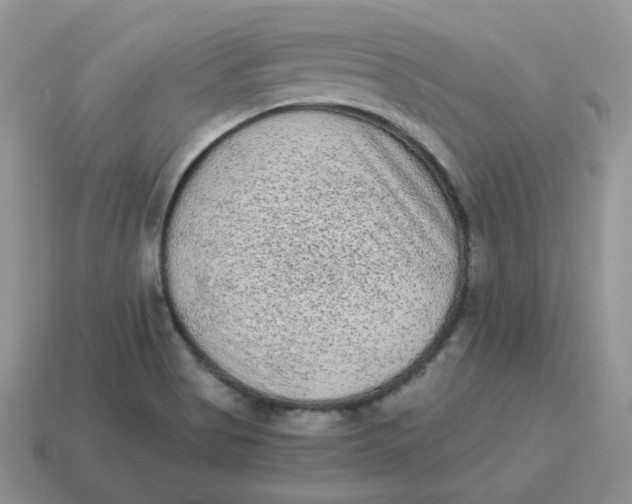 X0000114521513200911091140