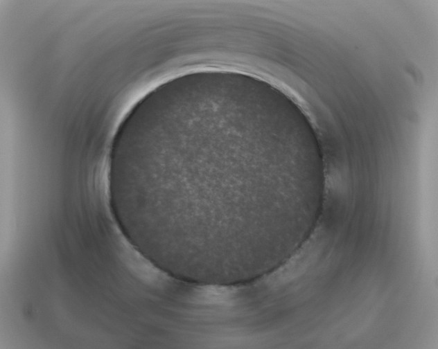 X0000114521514200911091140