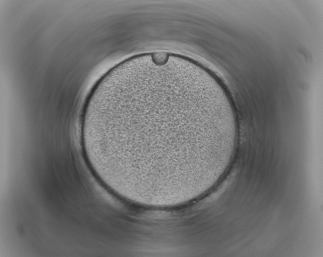 X0000114521517200911091140