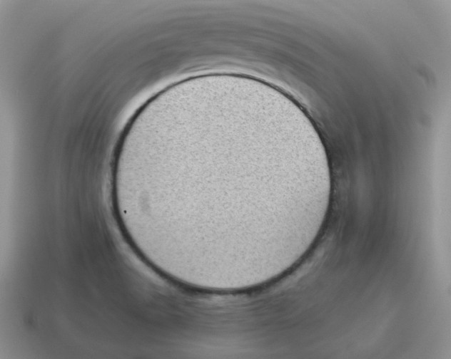 X0000114521518200911091140