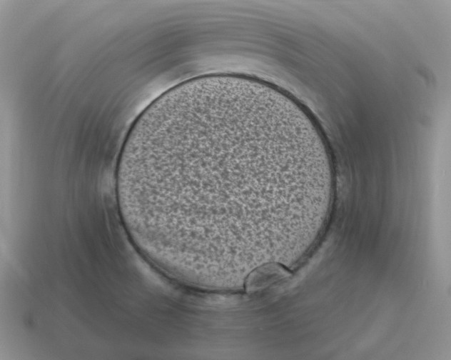 X0000114521521200911091140