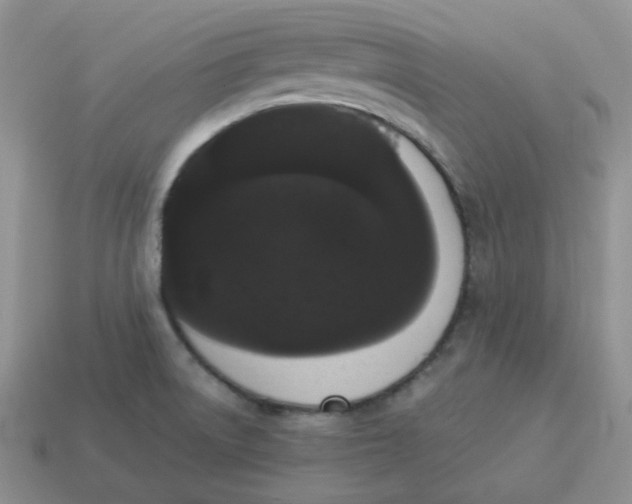 X0000114521522200911091140