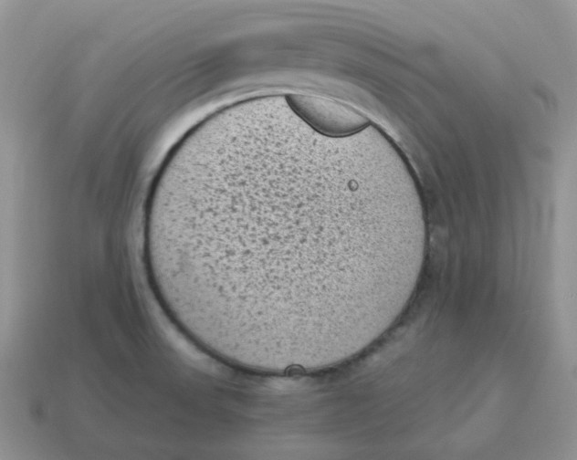 X0000114521523200911091140