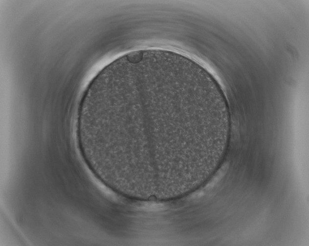 X0000114521525200911091140