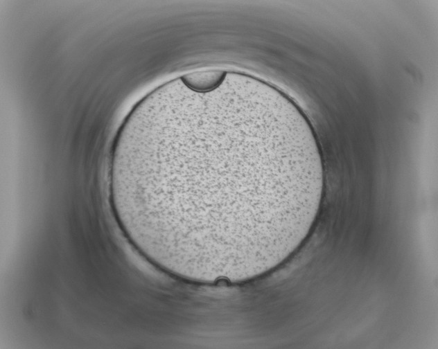 X0000114521526200911091140