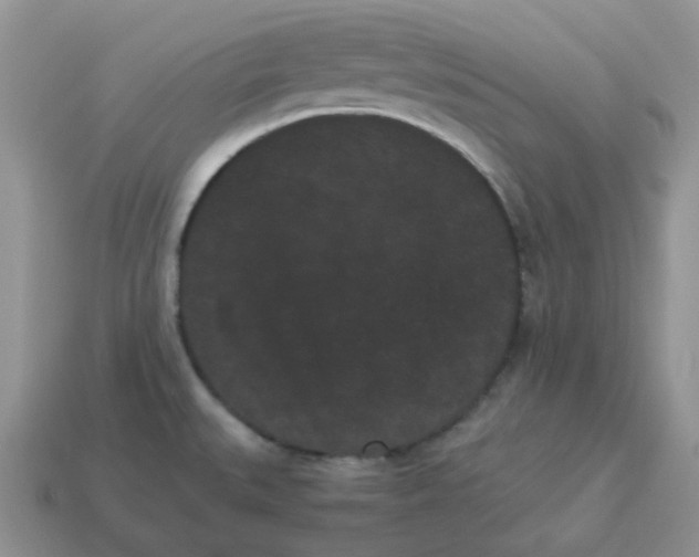 X0000114521527200911091140