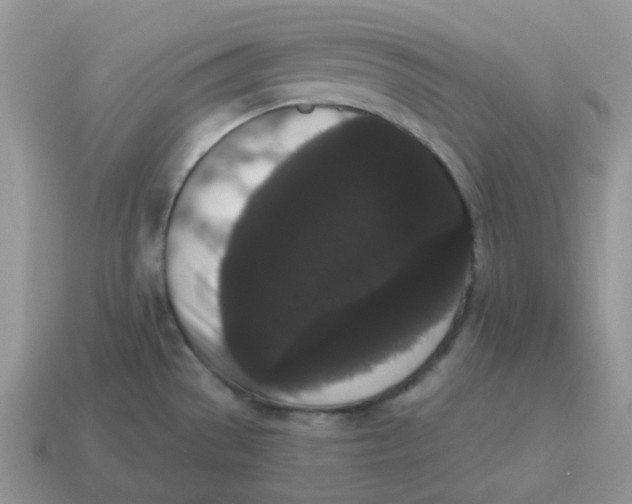 X0000114521529200911091140