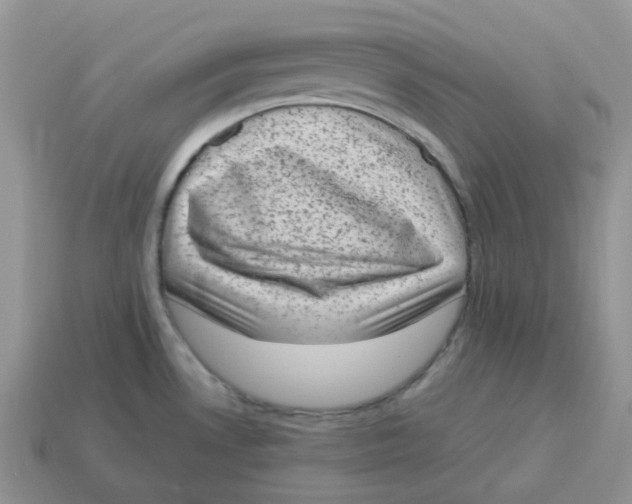 X0000114521530200911091140