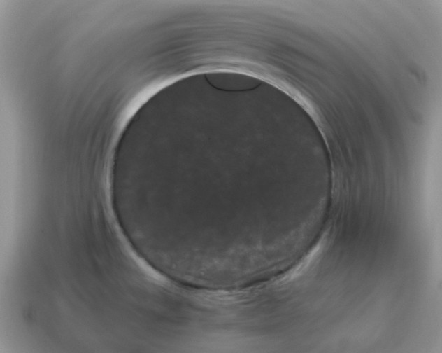 X0000114521533200911091140