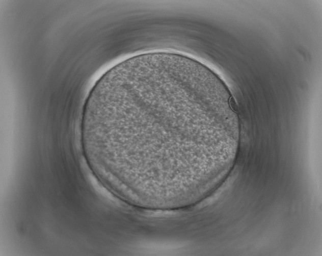 X0000114521534200911091140