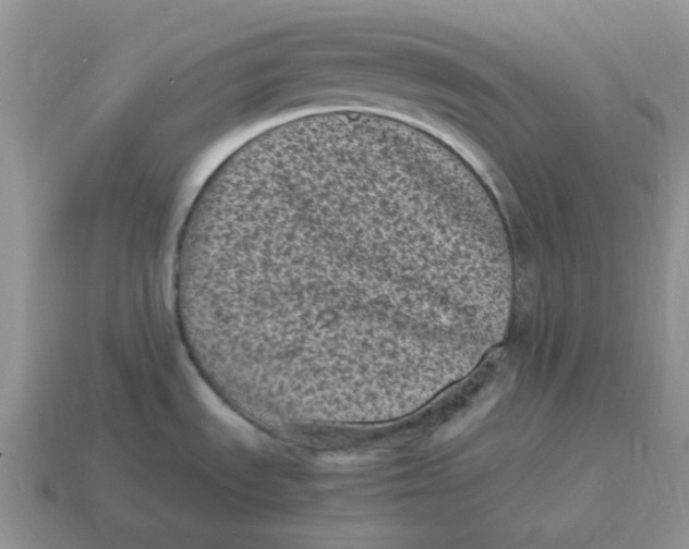 X0000114521535200911091140