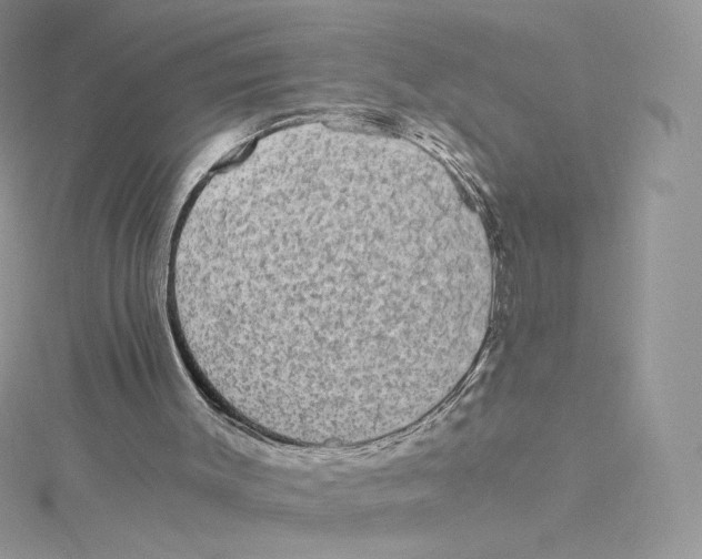 X0000114520003200911161326