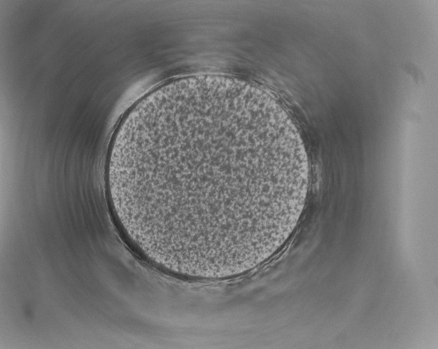 X0000114520004200911161326