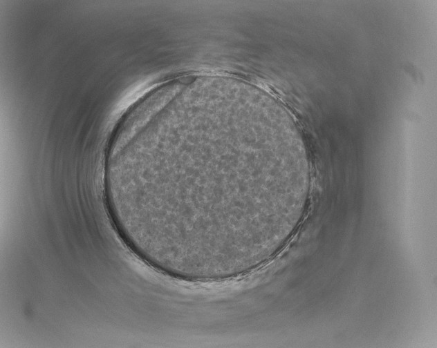 X0000114520005200911161326