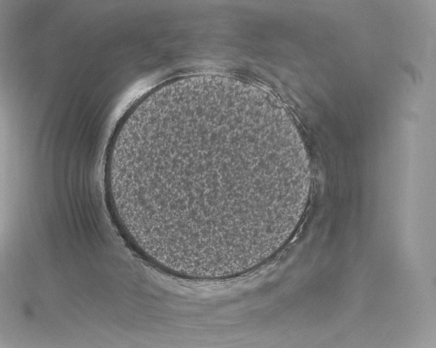 X0000114520006200911161326