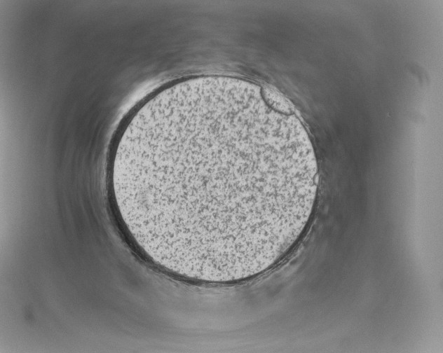 X0000114520008200911161326