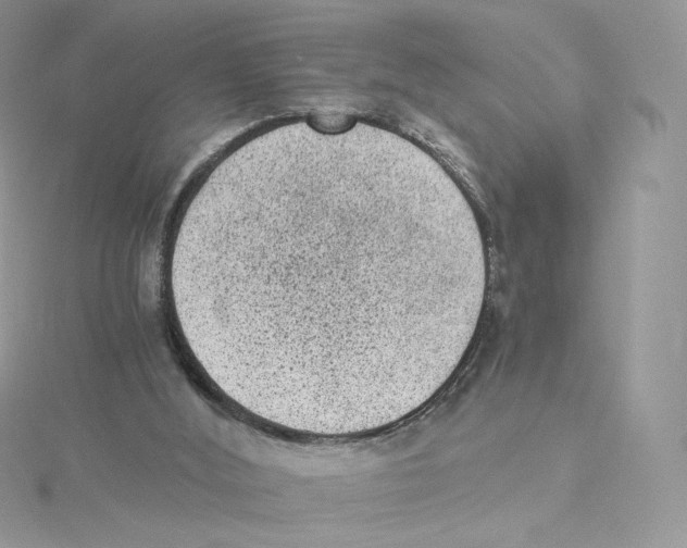 X0000114520012200911161326