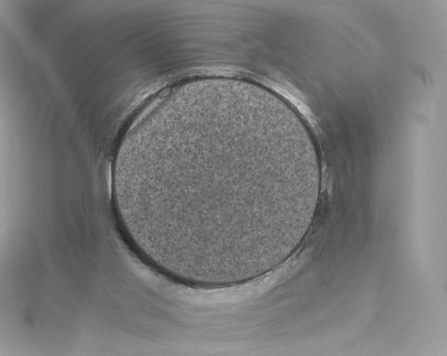 X0000114520013200911161326