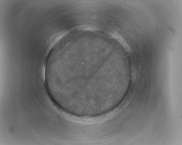 X0000114520014200911161326