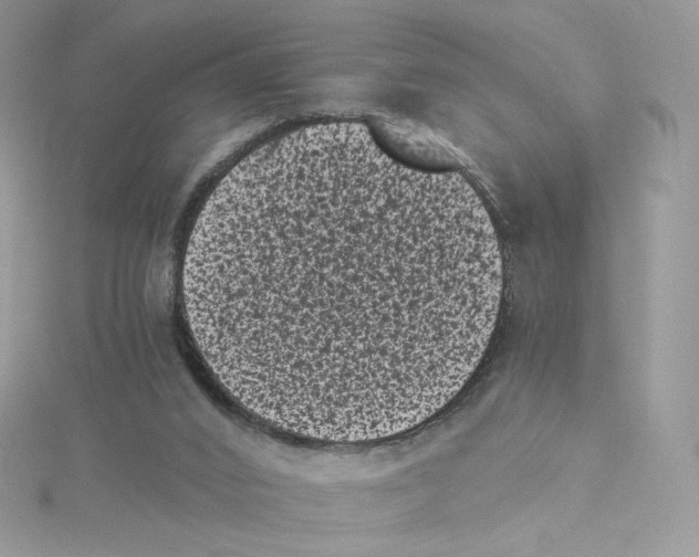 X0000114520016200911161326