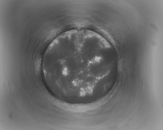 X0000114520018200911161326