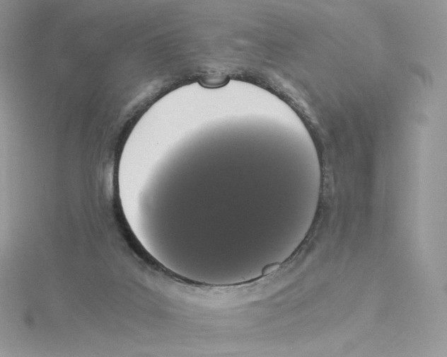 X0000114520019200911161326